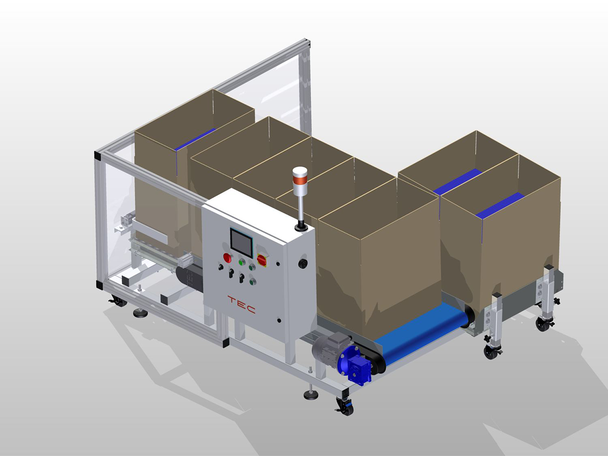 Side-by-Side Box Filling System